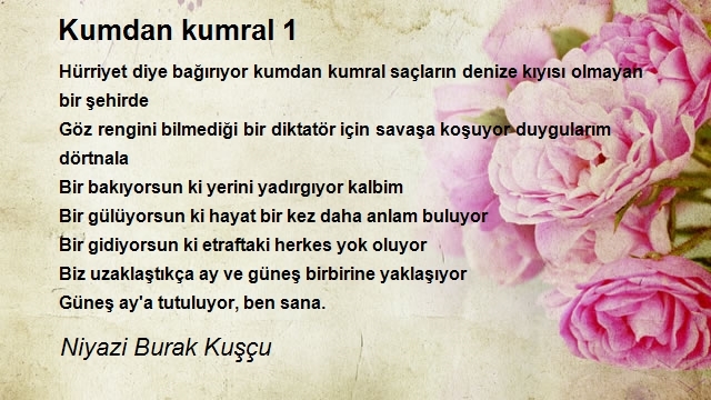 Niyazi Burak Kuşçu