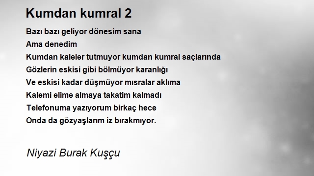 Niyazi Burak Kuşçu