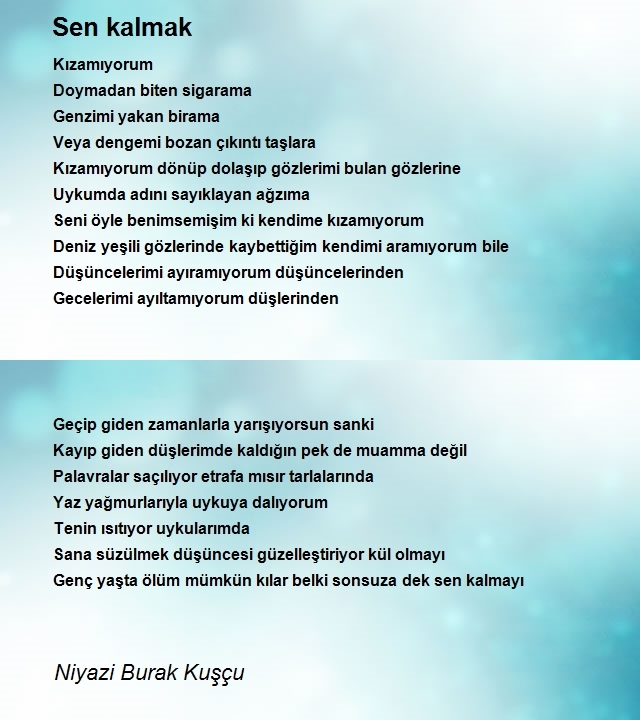 Niyazi Burak Kuşçu