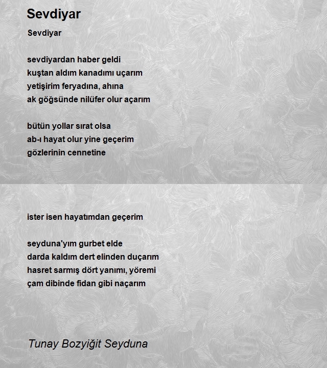 Tunay Bozyiğit Seyduna