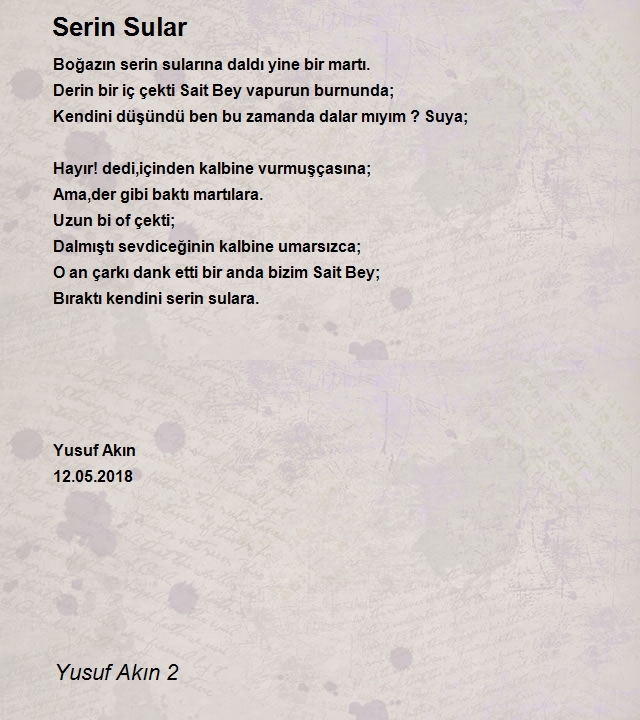 Yusuf Akın 2