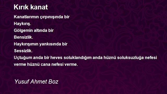 Yusuf Ahmet Boz