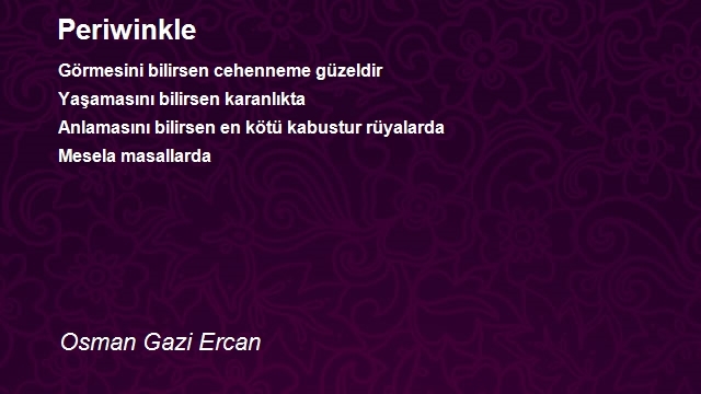 Osman Gazi Ercan