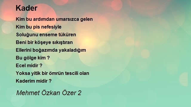 Mehmet Özkan Özer 2