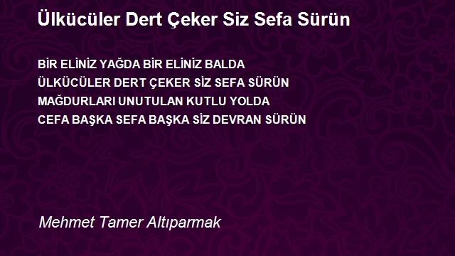 Mehmet Tamer Altıparmak