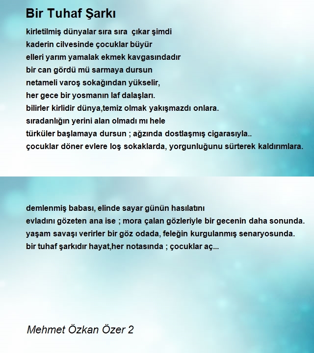 Mehmet Özkan Özer 2