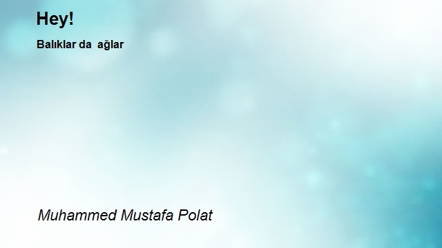 Muhammed Mustafa Polat