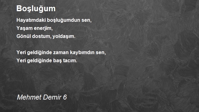 Mehmet Demir 6