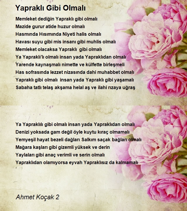 Ahmet Koçak 2