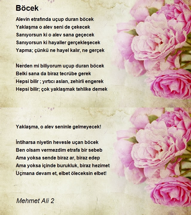 Mehmet Ali 2