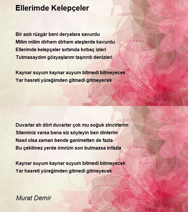 Murat Demir