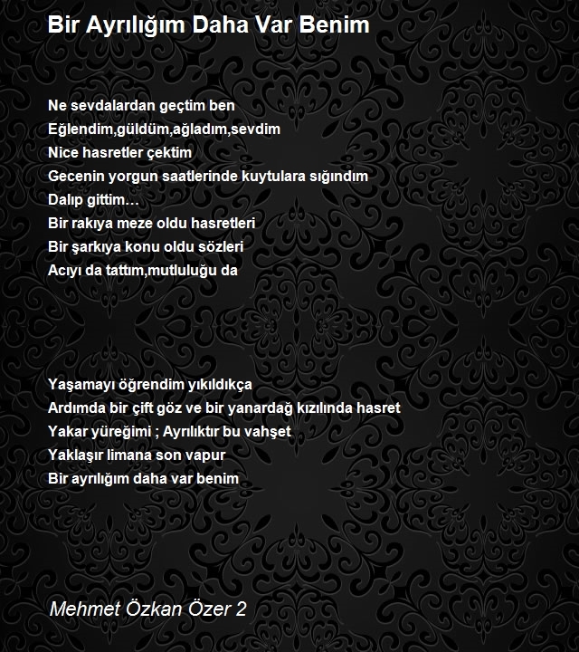 Mehmet Özkan Özer 2