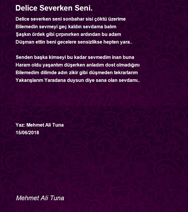 Mehmet Ali Tuna