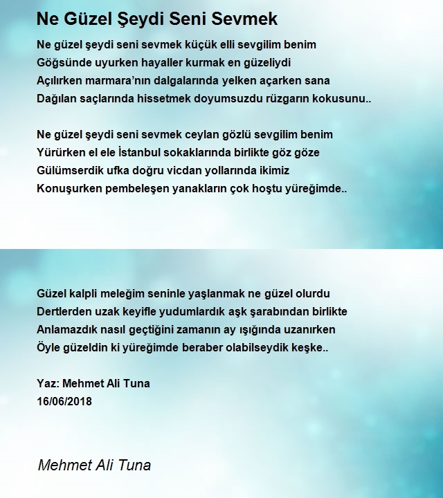 Mehmet Ali Tuna