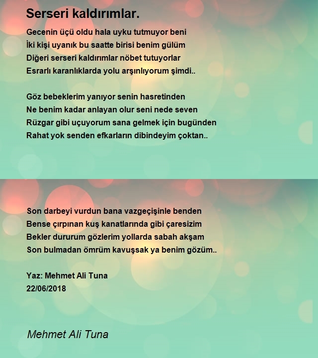 Mehmet Ali Tuna