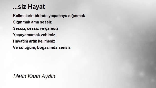 Metin Kaan Aydın