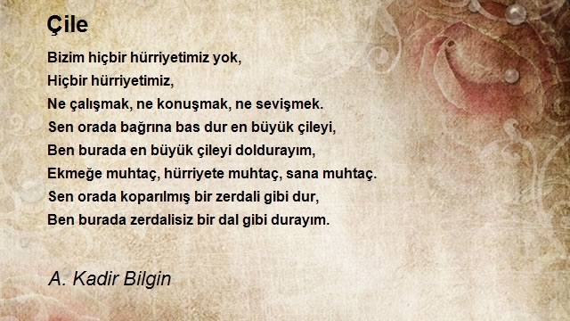 A. Kadir Bilgin