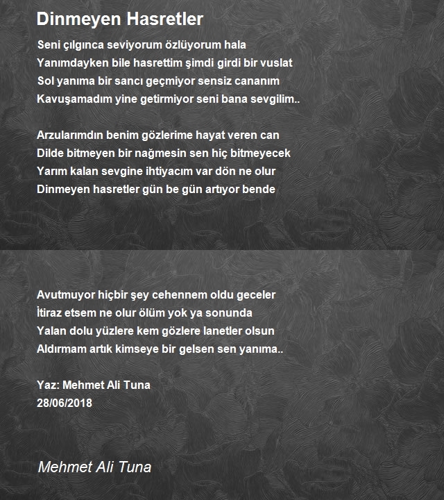 Mehmet Ali Tuna