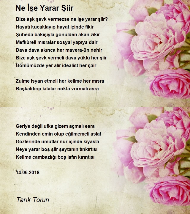 Tarık Torun