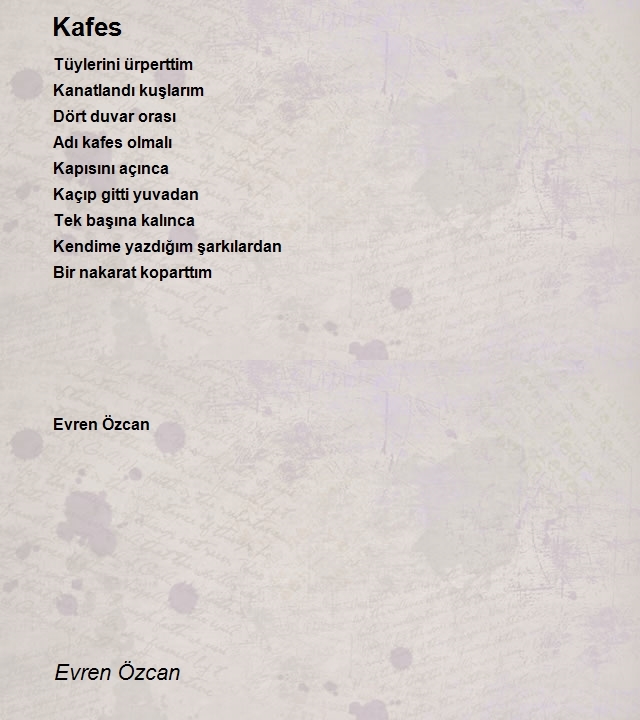 Evren Özcan