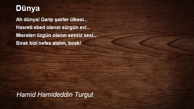 Hamid Hamideddin Turgut