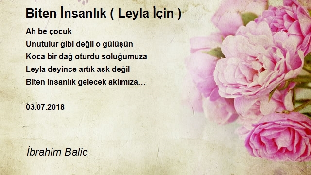 İbrahim Balic