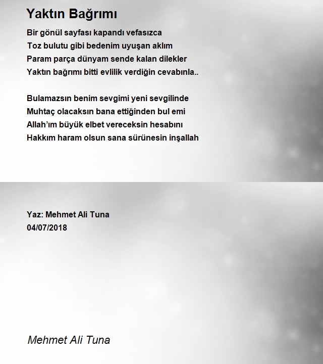 Mehmet Ali Tuna