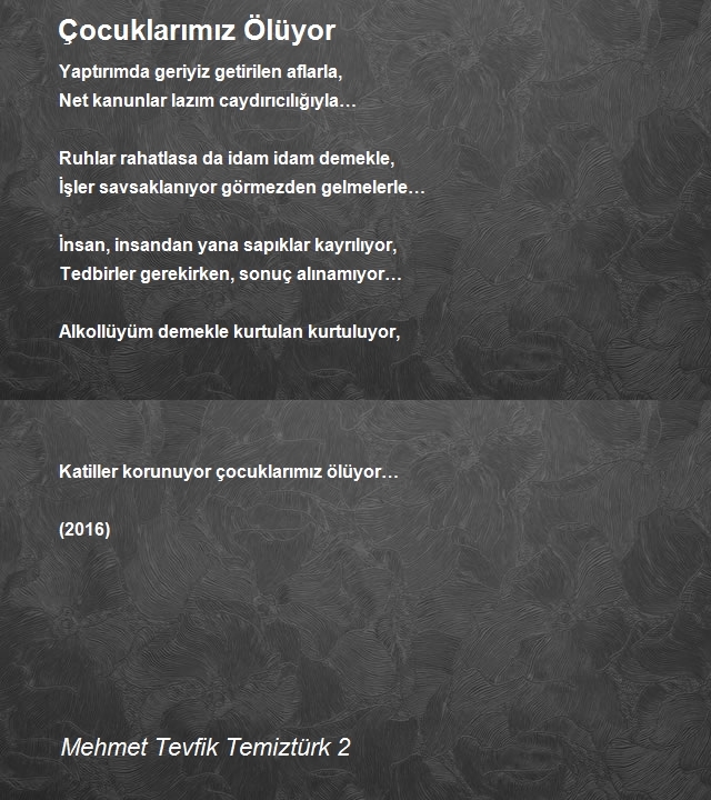 Mehmet Tevfik Temiztürk 2