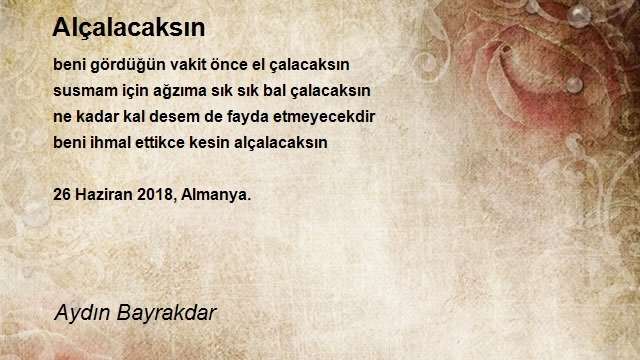 Aydın Bayrakdar