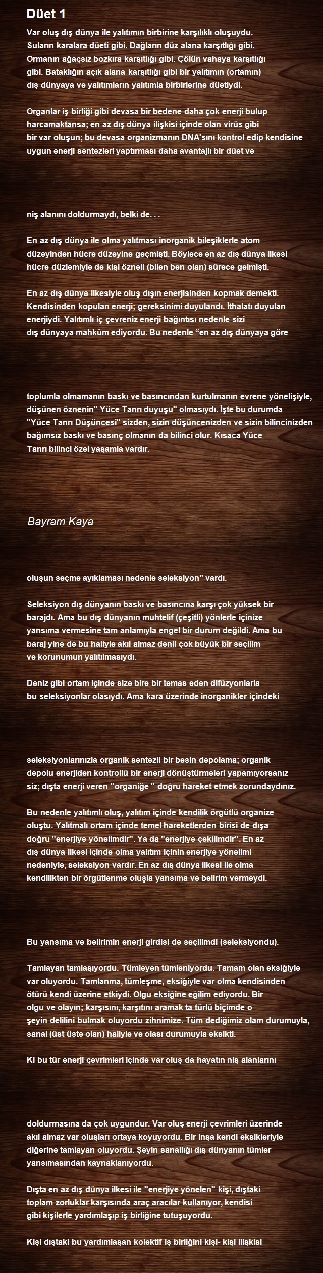 Bayram Kaya