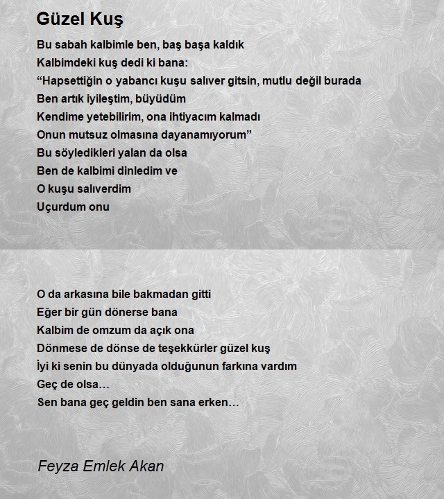 Feyza Emlek Akan