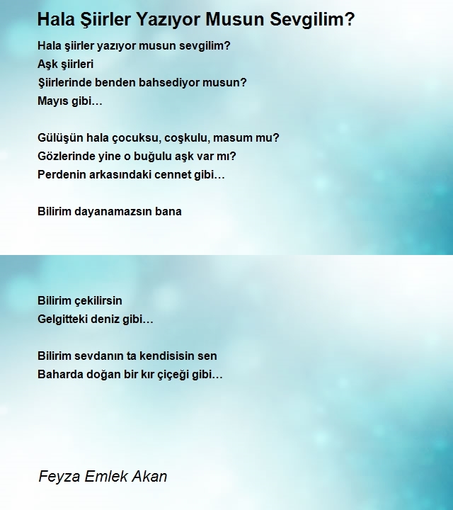 Feyza Emlek Akan