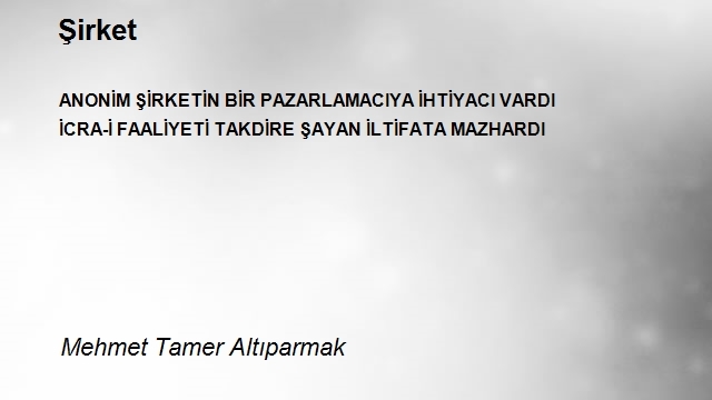 Mehmet Tamer Altıparmak