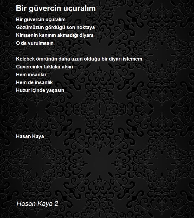 Hasan Kaya 2