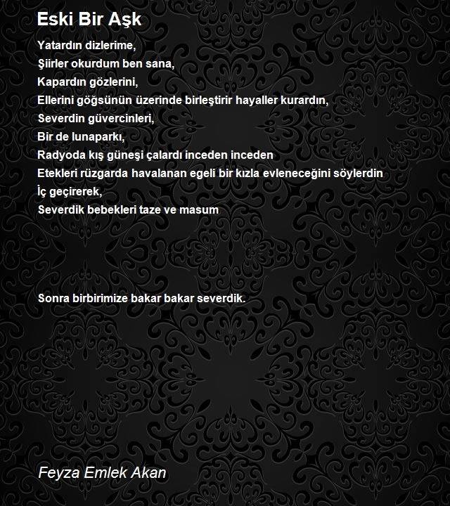 Feyza Emlek Akan