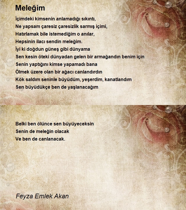 Feyza Emlek Akan