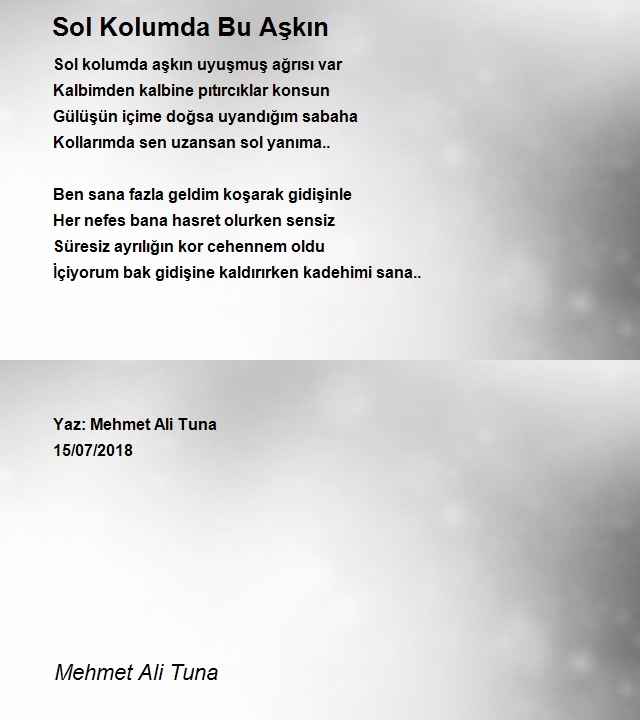 Mehmet Ali Tuna