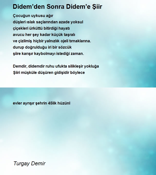 Turgay Demir