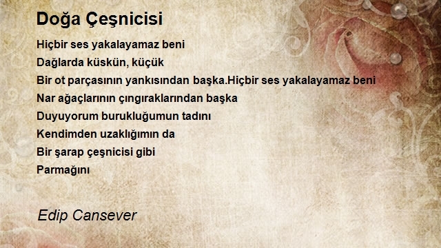 Edip Cansever