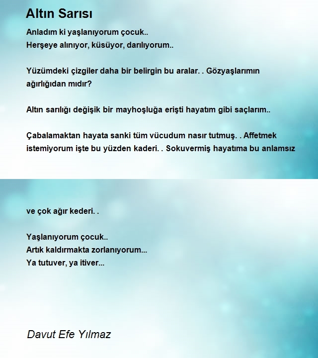 Davut Efe Yılmaz