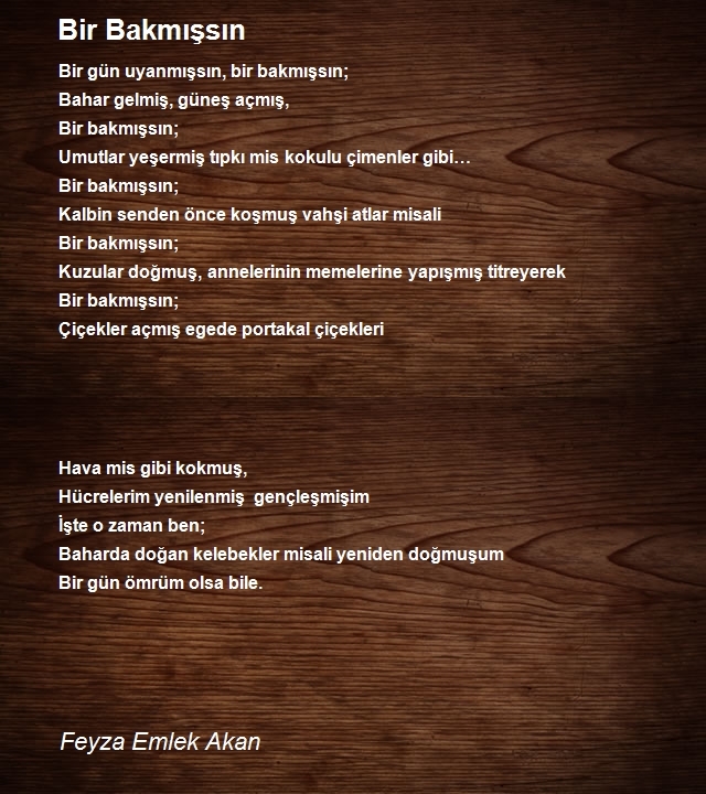 Feyza Emlek Akan