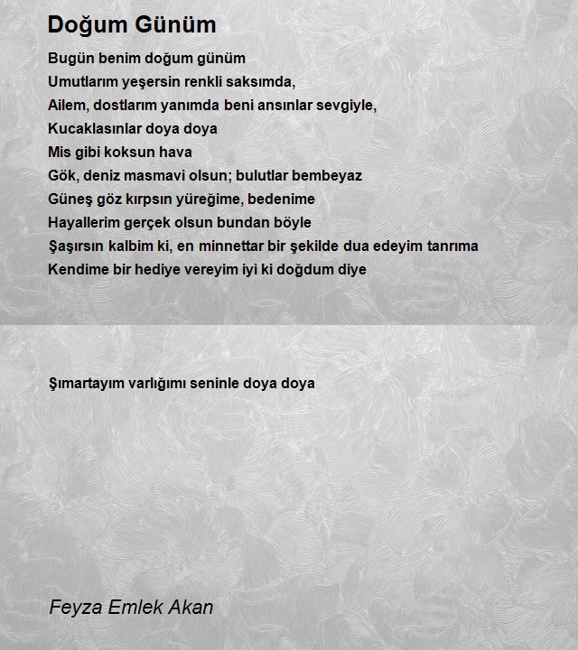 Feyza Emlek Akan