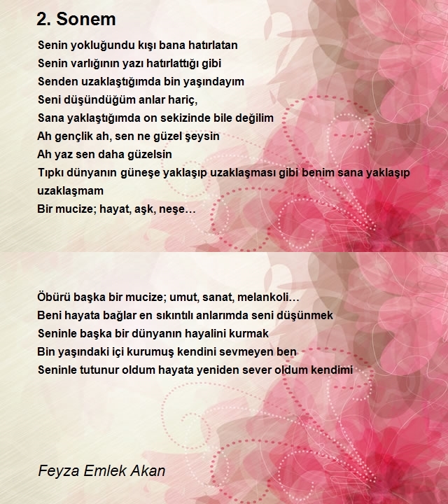 Feyza Emlek Akan