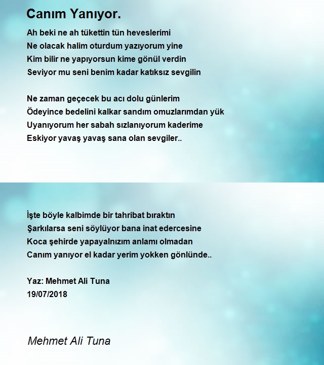 Mehmet Ali Tuna