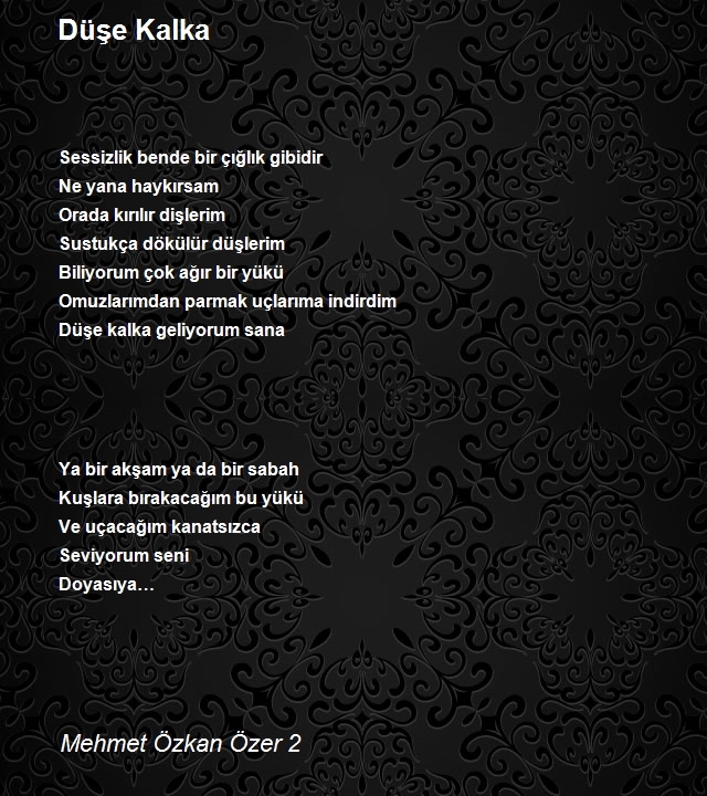 Mehmet Özkan Özer 2