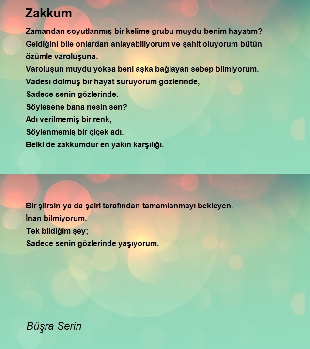 Büşra Serin