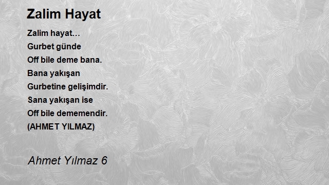 Ahmet Yılmaz 6