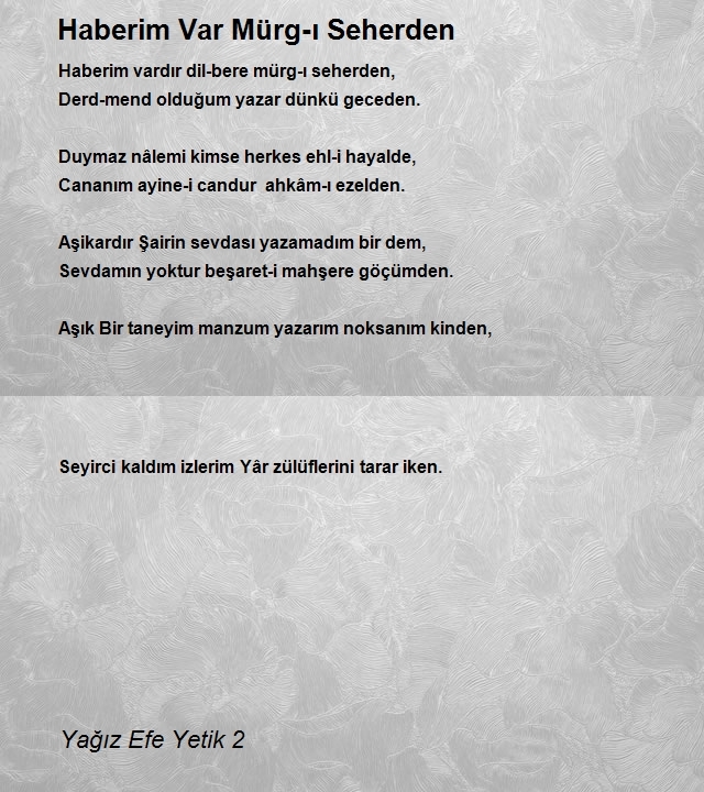 Yağız Efe Yetik 2