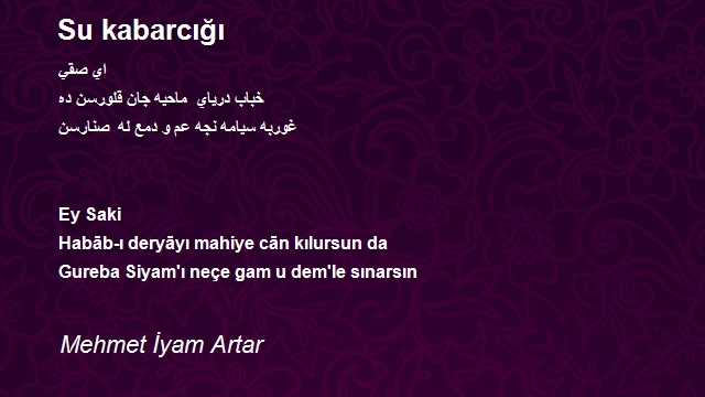 Mehmet İyam Artar