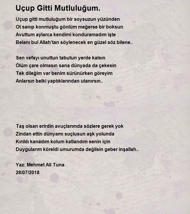 Mehmet Ali Tuna